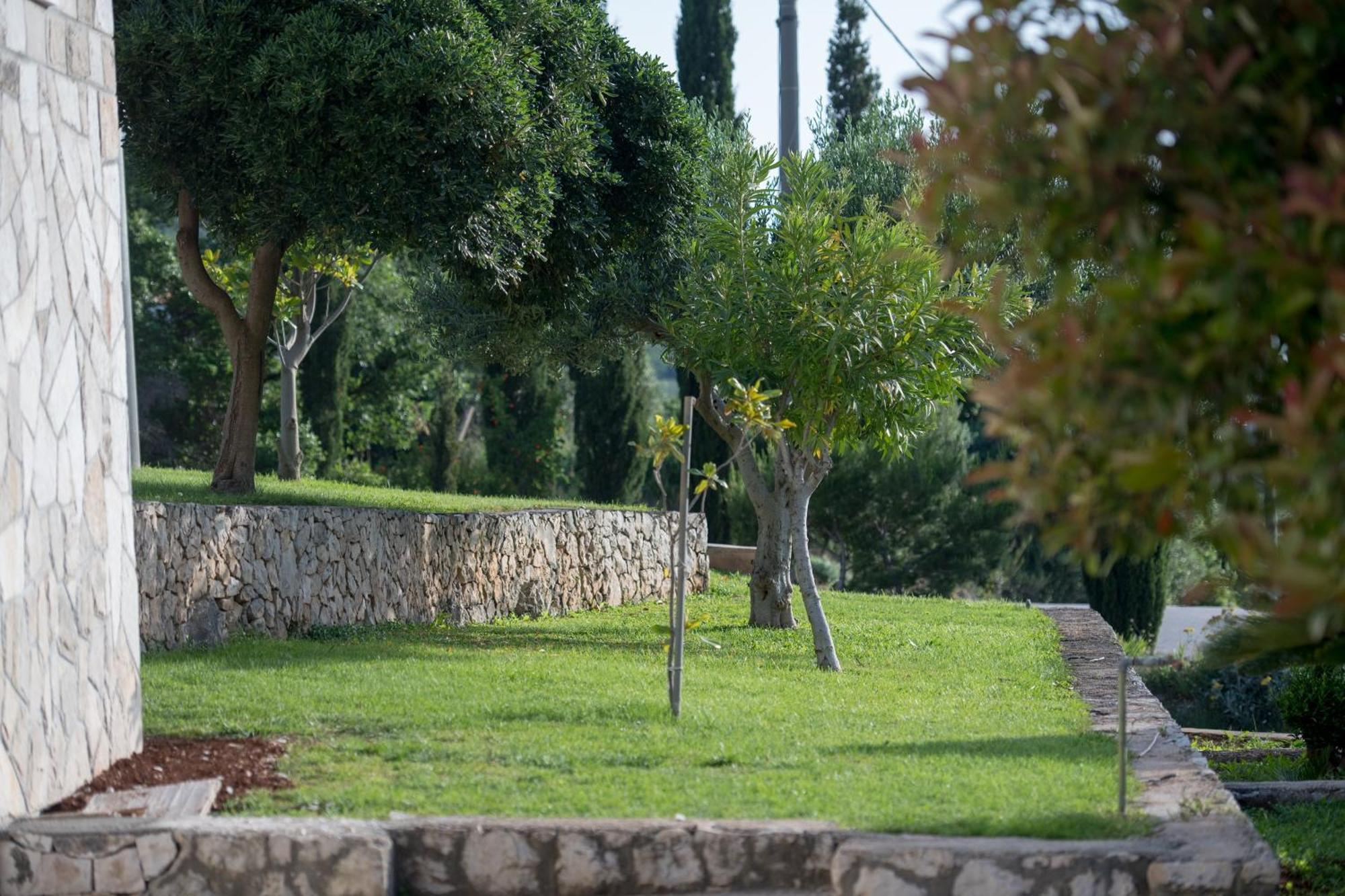 Apartments Mi&Ni Cavtat Szoba fotó